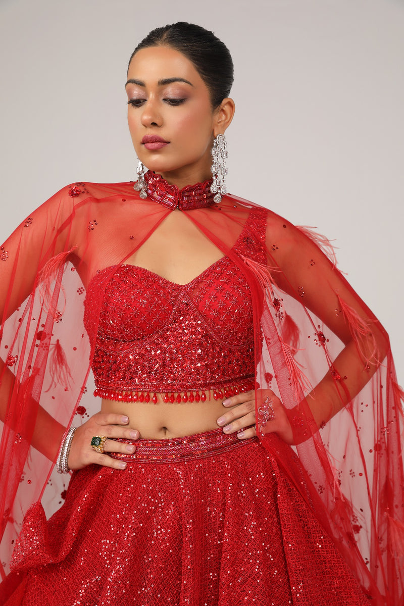 Red dazzling skirt in a tappered cut paired with hand embroidered choli(G-56)